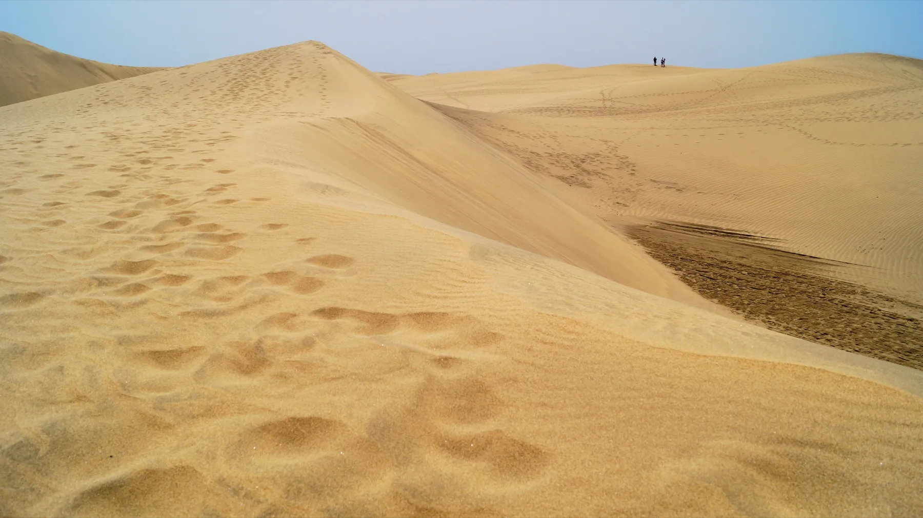 Les dunes de Maspalomas